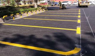 哈尔滨中考成绩查询